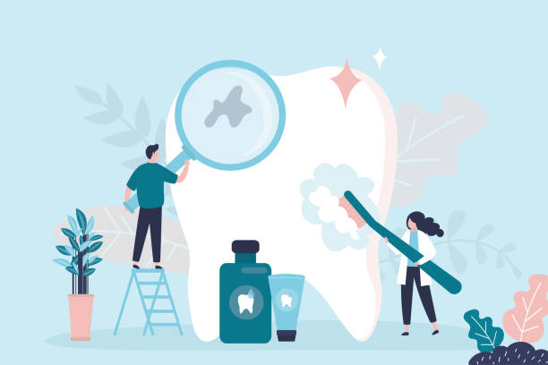 Hinsdale, IL  Holistic Dental Services Company